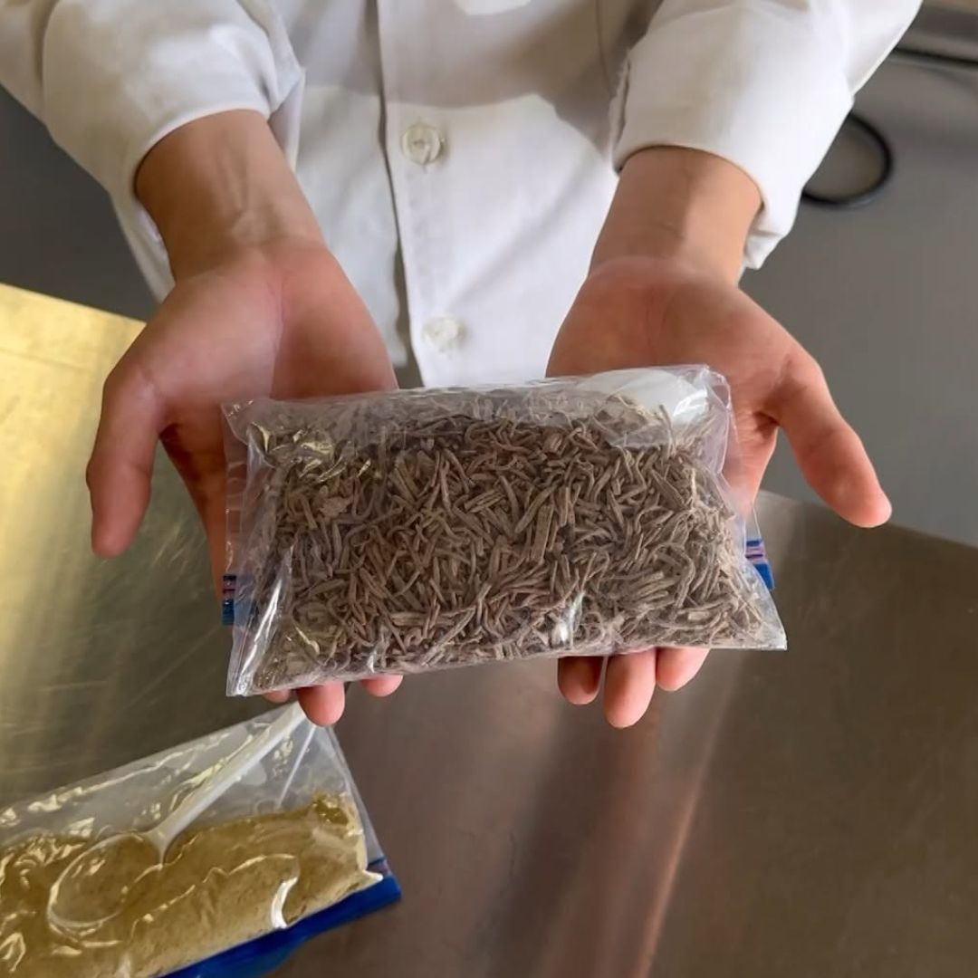 Estudiante de Ensenada Desarrolla Sopa con Harina de Larva de Mosca Soldado Negro